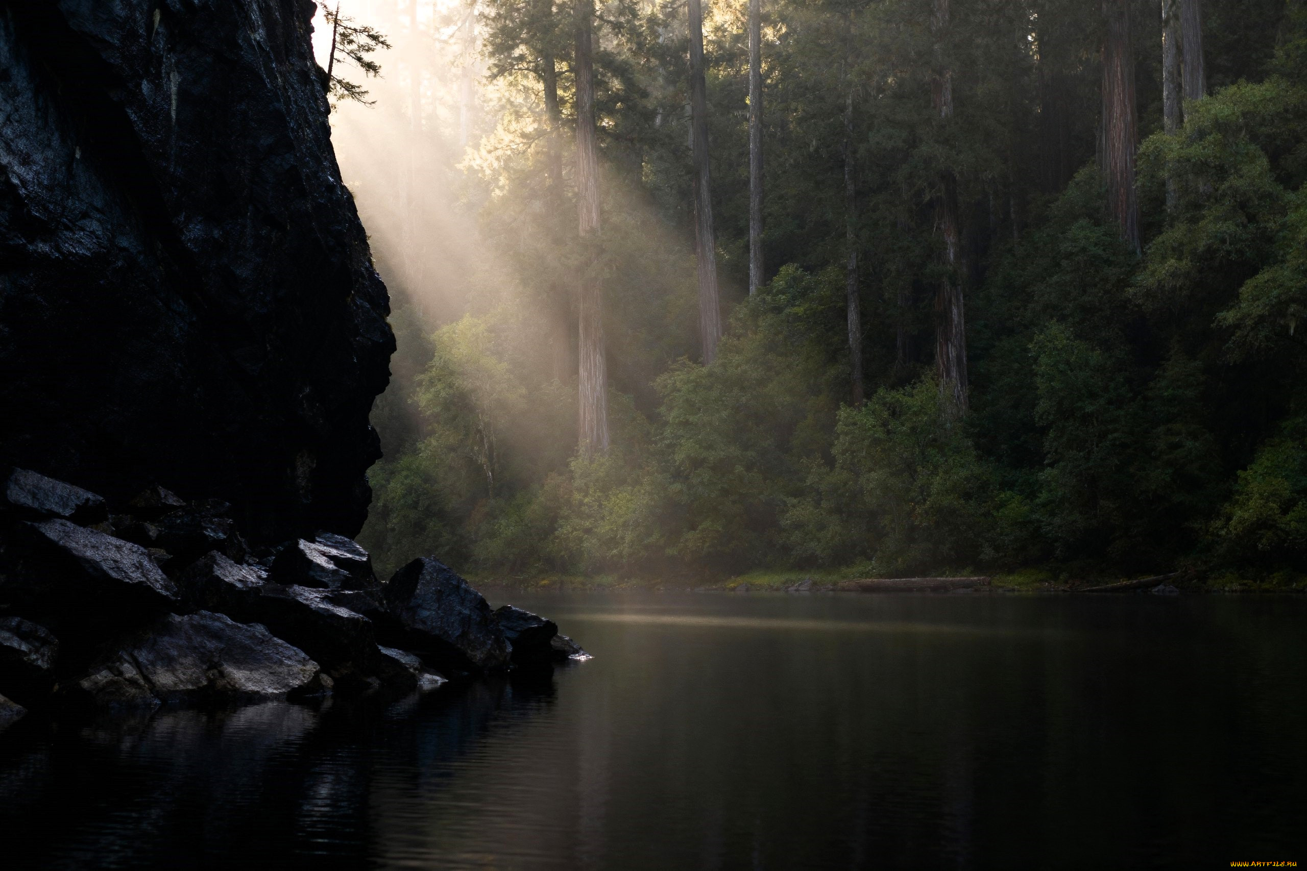 3� �������, ������� , nature, �����, ����, ���, �����